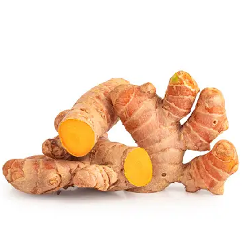 Curcuma