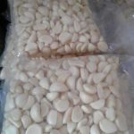 WhatsApp Image 2022-12-08 at 10.46.09 AM